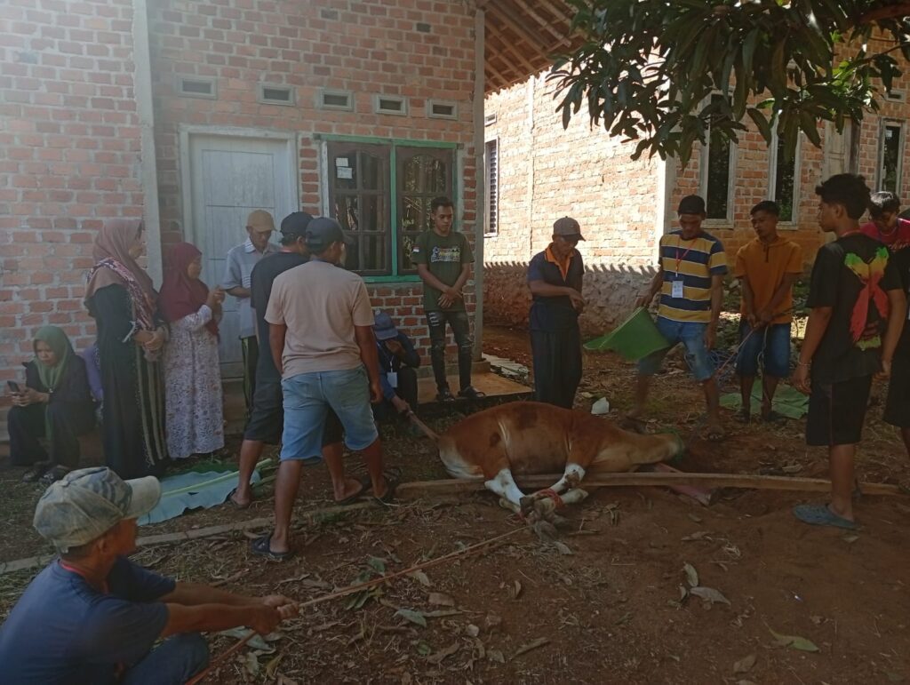 WhatsApp Image 2026 05 27 At 19.02.53 1 1024x771